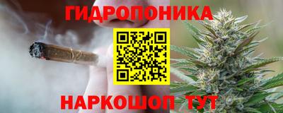 прущие грибы Туймазы