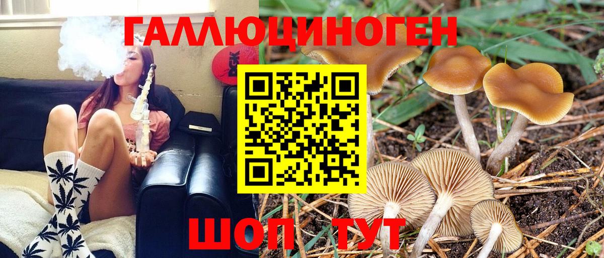 Добрянка  Галлюциногенные грибы мухоморы  Галлюциногенные грибы MAGIC MUSHROOMS  Вход с VPN 